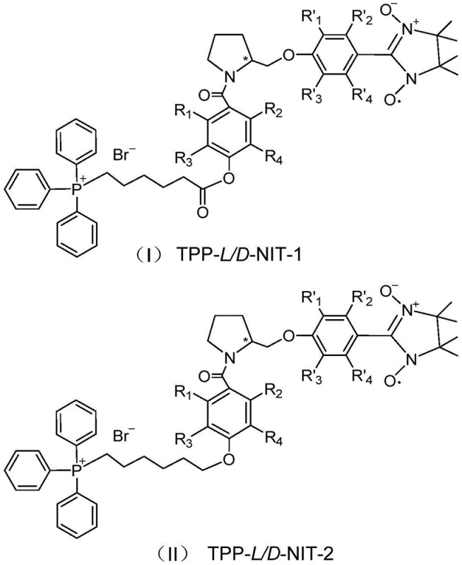 General structural formulas of chiral mitochondria-targeting nitroxide radical compounds TPP-L/D-NIT-1 and TPP-L/D-NIT-2