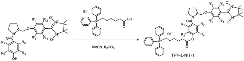 Final coupling reaction mechanism for synthesizing TPP-L-NIT-1 using acetonitrile and potassium carbonate