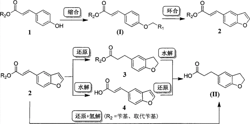Novel synthetic route converting hydroxyphenyl acrylic esters to dihydrobenzofuran propionic acid via alkylation and cyclization