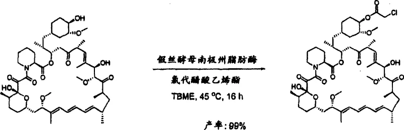Regiospecific acylation of rapamycin using vinyl chloroacetate and lipase yielding 98%