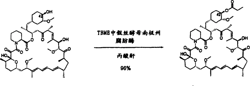Lipase catalyzed acylation of rapamycin with propionic anhydride achieving 96% yield