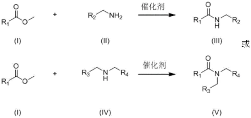 General reaction scheme showing ester and amine conversion to amide using rare earth metal cluster catalyst