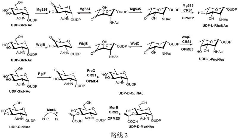 Reaction pathways for reduction-directed synthesis of rare sugar nucleotides using OPME and CRS