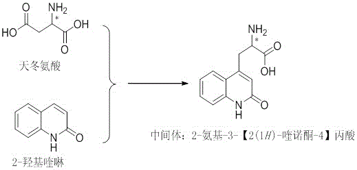 Novel direct Minisci reaction scheme converting Aspartic Acid and 2-Hydroxyquinoline to Rebamipide intermediate