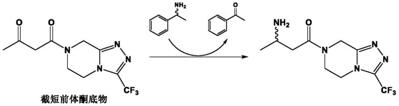 Transamination reaction of truncated precursor ketone demonstrating enzyme stereoselectivity