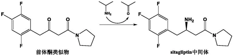 Biocatalytic synthesis of sitagliptin intermediate from precursor ketone analogue using recombinant transaminase