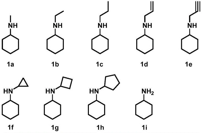 Chemical structures of various amine donors (1a-1i) and the general reaction scheme for reductive amination of cyclohexanone catalyzed by RsRedAm