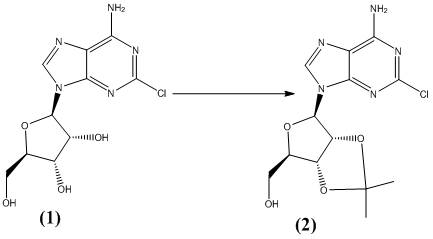 Protection of 2-chloroadenosine with p-toluenesulfonic acid to form compound 2