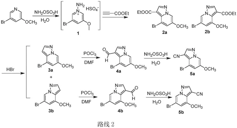 Novel synthetic route 2 showing streamlined steps and reagents