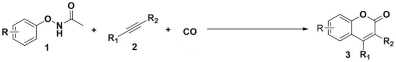 General reaction scheme showing N-phenoxyacetamide reacting with alkyne and CO to form coumarins