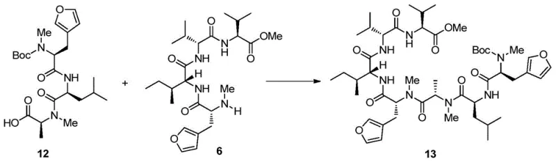 Convergent coupling of tripeptide and tetrapeptide fragments to form linear heptapeptide