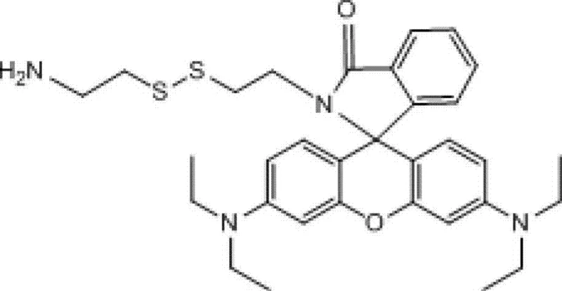 Complete synthetic route showing Boc protection, DCC coupling, and TFA deprotection steps