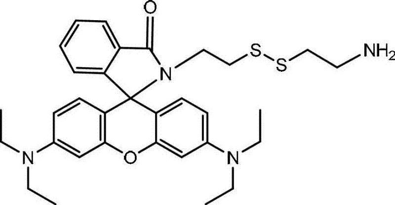 Chemical structure of the target Rhodamine B cystamine derivative showing the preserved disulfide bond and free amine