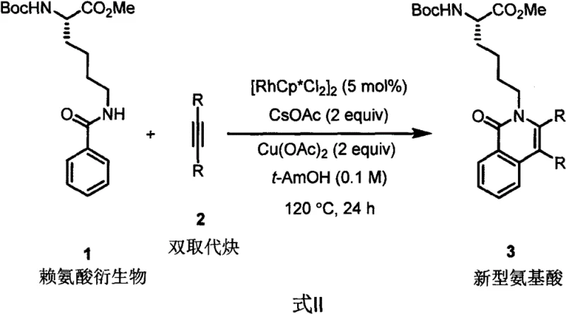 General reaction scheme for Rh-catalyzed synthesis of novel amino acids from lysine derivatives and disubstituted alkynes
