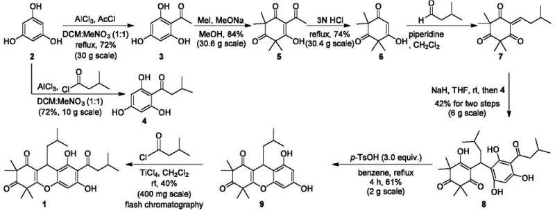 Previous Synthetic Route 1 by Maier et al. showing low yield and complex purification