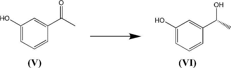 Overall synthetic route from 1-(3-hydroxyphenyl)ethanone to chiral amine via transfer hydrogenation