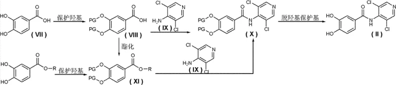 Alternative protected route showing esterification and amidation prior to deprotection