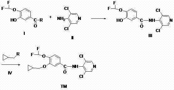 General synthetic route for Roflumilast showing amidation of Compound I and II to form Intermediate III, followed by alkylation to TM
