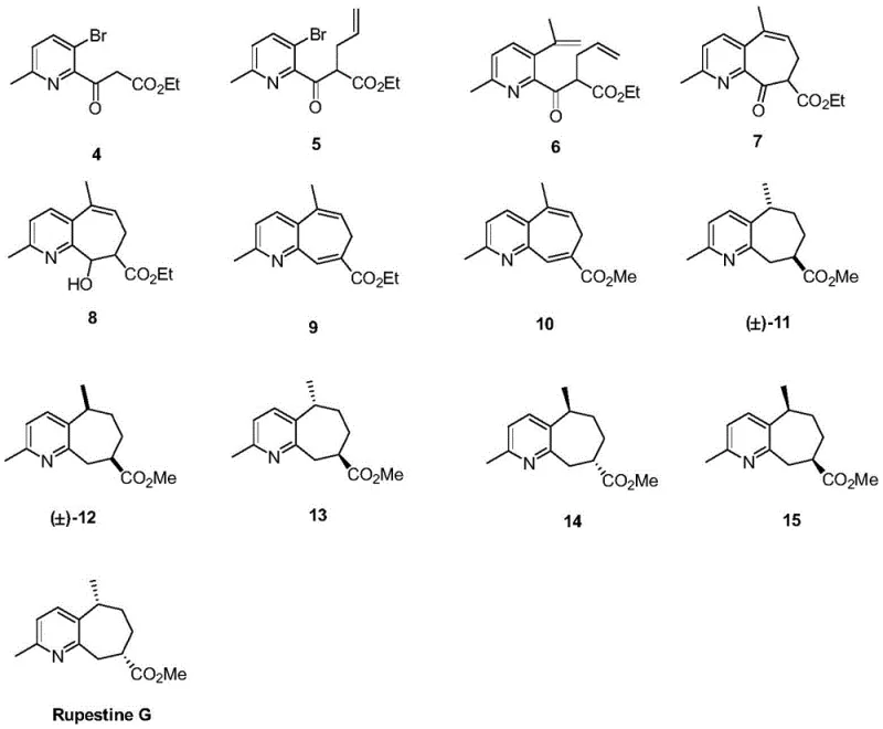 Structural evolution of intermediates 4 through 15 leading to Rupestine G