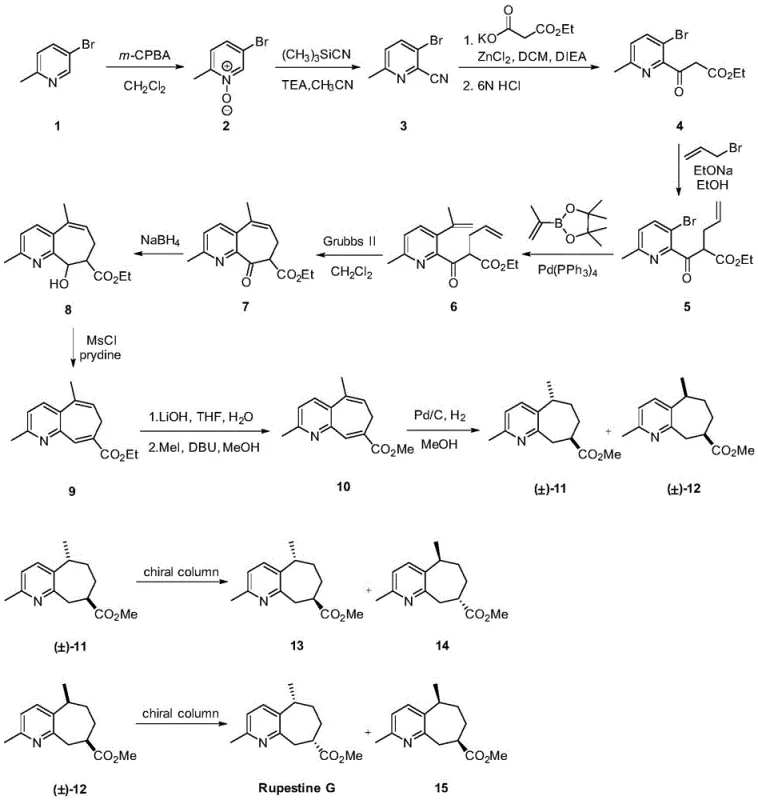 Complete synthetic route from 2-methyl-5-bromopyridine to Rupestine G