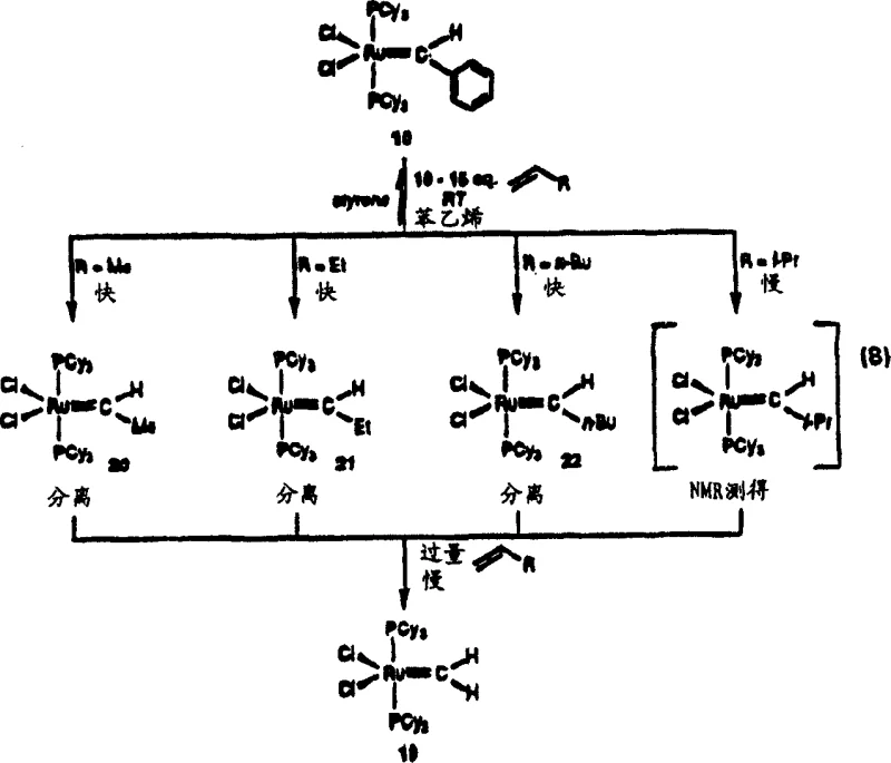 Reaction scheme illustrating the cross-metathesis mechanism and formation of alkylidene complexes