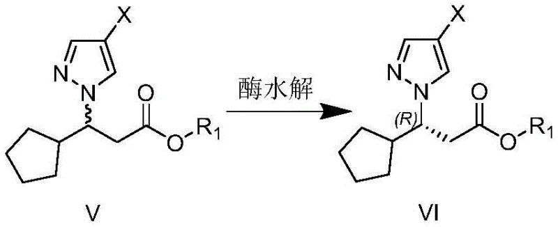Enzymatic hydrolysis mechanism showing selective conversion of S-enantiomer to acid while retaining R-enantiomer ester