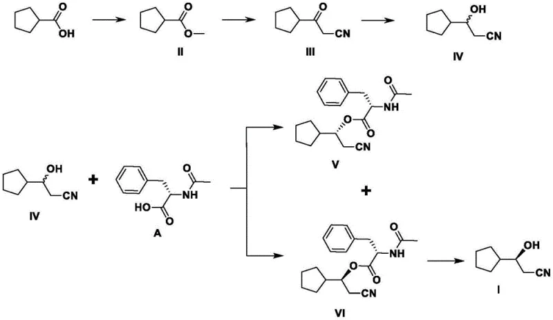 Overall synthetic route from cyclopentanecarboxylic acid to the chiral intermediate