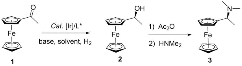 Overall reaction scheme showing the conversion of acetylferrocene to (S)-1-ferrocenylethanol and finally to (S)-1-ferrocene ethyl dimethylamine
