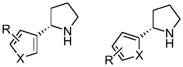 General structure of chiral 2-aryl(hetero)pyrrolidines showing variable substituents R and heteroatoms X