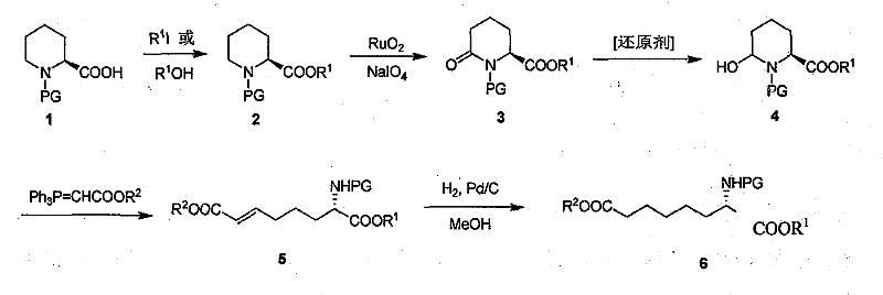 General synthetic route for optical activity alpha-amino suberate showing esterification, oxidation, reduction, Wittig reaction and hydrogenolysis