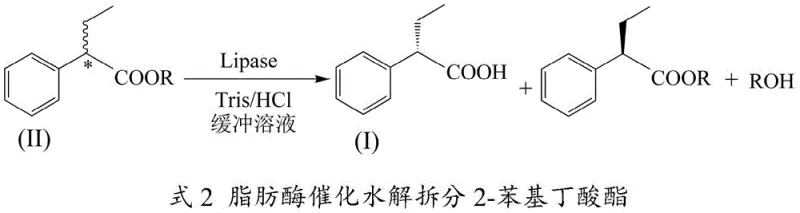 Lipase catalyzed hydrolysis reaction scheme showing the conversion of racemic ester to S-acid and R-ester