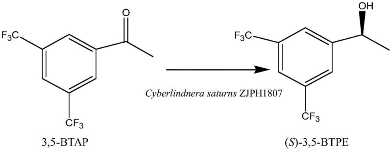 Chemical reaction scheme showing the asymmetric reduction of 3,5-BTAP to (S)-3,5-BTPE using Cyberlindnera saturns ZJPH1807