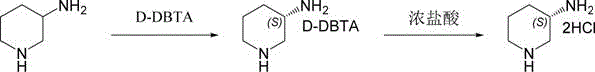 Overall reaction scheme for the preparation of S-3-aminopiperidine dihydrochloride via D-DBTA resolution