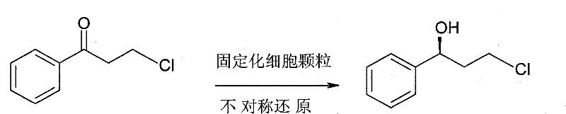 Chemical reaction scheme showing the asymmetric reduction of 3-chloro-1-propiophenone to (S)-(-)-3-chloro-1-phenylpropanol using immobilized Saccharomyces cerevisiae
