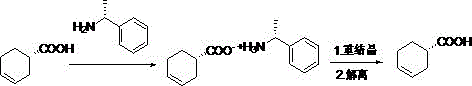 Reaction scheme showing the salification, recrystallization, and dissociation steps for S-3-cyclohexenecarboxylic acid purification