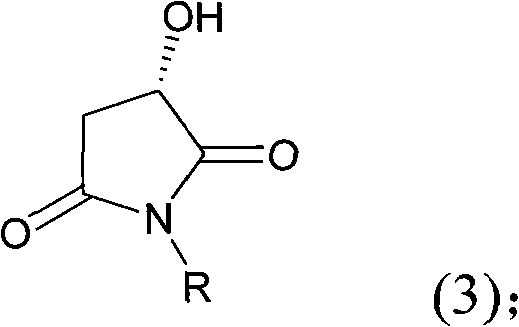 Chemical structure of the key 3-hydroxy-N-substituted-2,5-dicarbonyl imide intermediate (Formula 3)