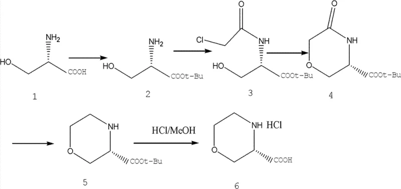 Reaction scheme showing the 5-step synthesis of (S)-3-morpholinyl carboxylic acid from L-Serine
