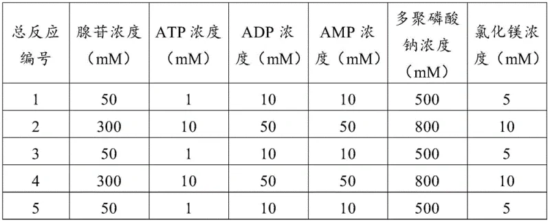 Flow chart of the construction of the three-gene co-expression recombinant plasmid vector pCDFDuet-1-AK-ADK-PPK