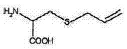 Chemical structure of the final product S-Allyl-L-Cysteine (SAC) showing the stable thioether linkage