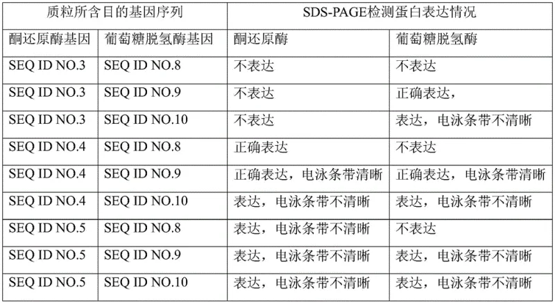 SDS-PAGE electrophoresis results confirming correct periplasmic expression of target proteins
