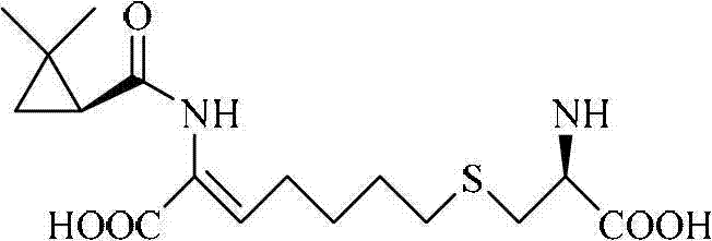 Chemical structure of Cilastatin showing the position of the DMCPA moiety
