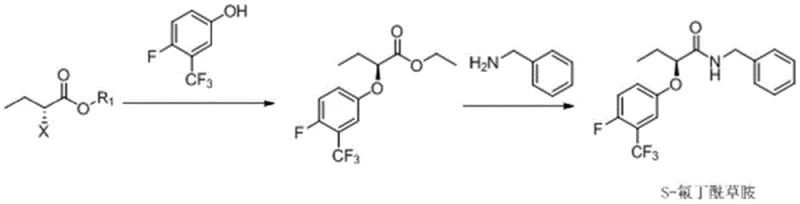 Overall synthetic scheme showing the conversion of chiral ester to S-flubutyramid via etherification and amidation