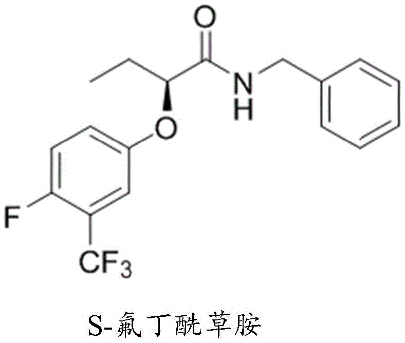 Chemical structure of S-fluorobutyramid showing the S-configuration at the chiral center