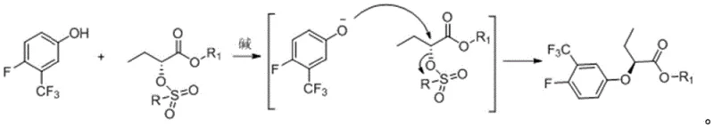 Mechanism of SN2 substitution showing inversion of configuration from R-sulfonyl ester to S-phenoxy ester