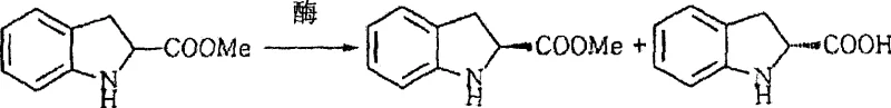 Enzymatic resolution showing selective hydrolysis of (R)-ester to acid while (S)-ester remains intact