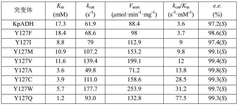 Kinetic parameters comparison showing Y127W mutant efficiency versus wild type