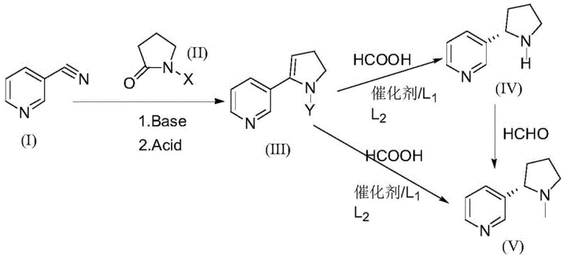 Overall reaction scheme showing the synthesis of S-(-)-nicotine from 3-pyridine acetonitrile and N-substituted pyrrolidone via asymmetric reduction