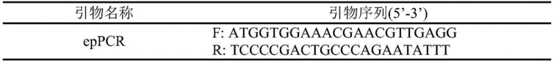 Schematic diagram of leucine dehydrogenase coupled with glucose dehydrogenase for asymmetric amination