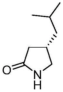 Chemical structure of S-Pregabalin Lactam showing the cyclic amide formation