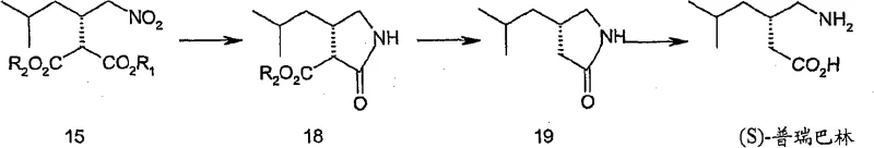 Reaction scheme showing the conversion of nitro-diester to S-Pregabalin via lactam intermediate